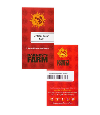Critical Kush Auto fem (Barney's Farm) семена конопли