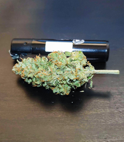 Dozy Whale fem (AlphaFem Seeds) семена конопли