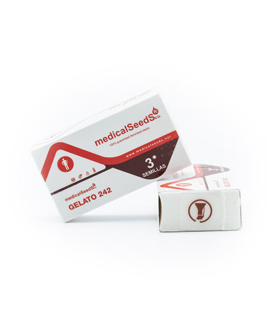 Gelato 242 fem семена конопли