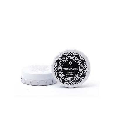 Dinamex Autoflowering fem семена конопли