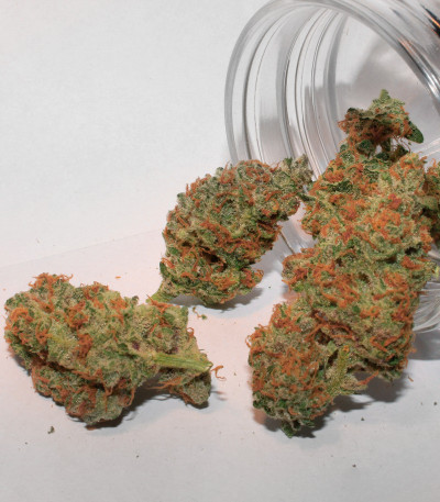 Wedding Glue Auto fem (FastBuds) семена конопли