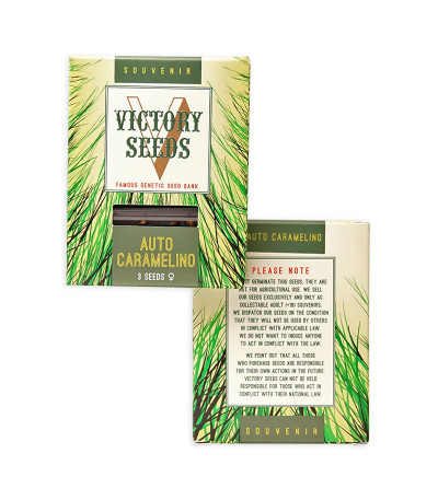 Auto Caramelino fem (Victory Seeds) семена конопли
