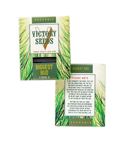 Biggest Bud fem (Victory Seeds) семена конопли