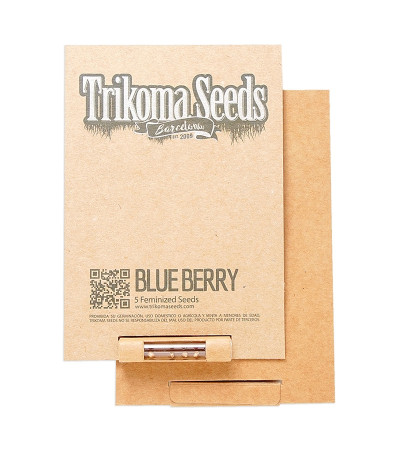 Blueberry fem (Trikoma Seeds) семена конопли