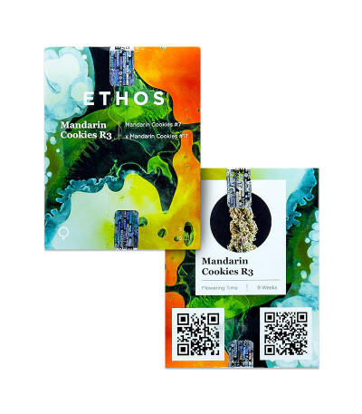 Mandarin Cookies R3 fem (Ethos Genetics) семена конопли
