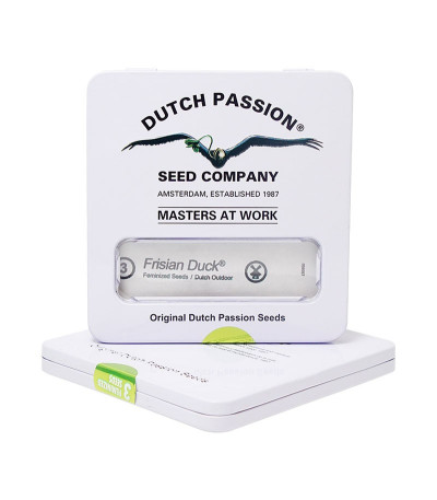 Семена каннабиса Frisian Duck в оригинальной упаковке
