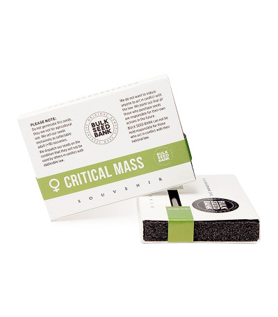Critical Mass fem (Bulk Seed Bank) семена конопли