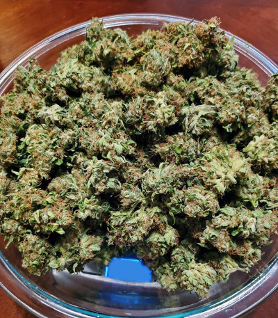 Blueberry OG от Barney's Farm семена конопли