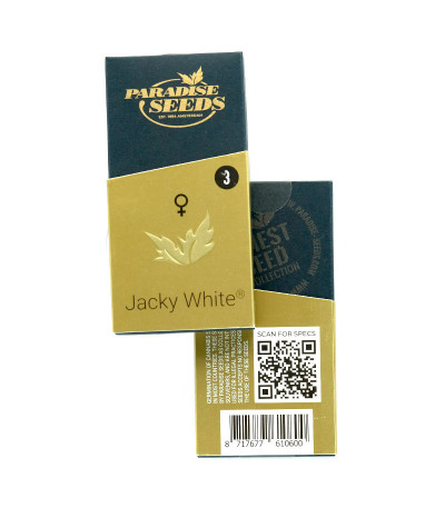 Jacky White fem (Paradise Seeds) семена конопли