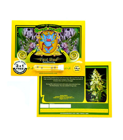 Fast Bud Auto fem (Sweet Seeds) семена конопли