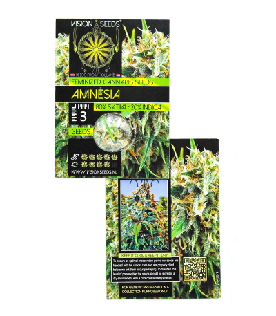 Amnesia fem (Vision Seeds) семена конопли