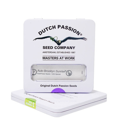 Семена конопли Auto Brooklyn Sunrise в оригинальной упаковке