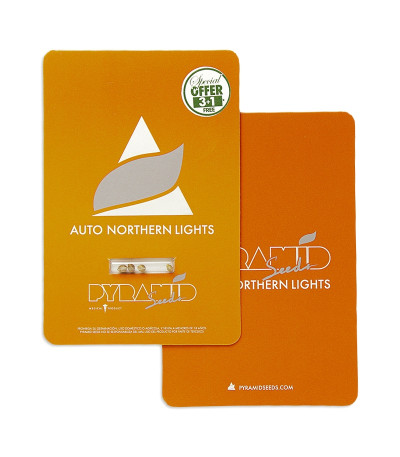 Auto Northern Lights fem семена конопли Pyramid Seeds 