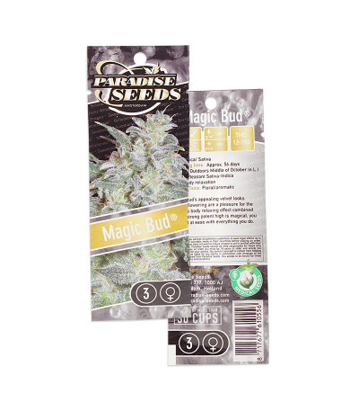 Magic Bud fem (Paradise Seeds) семена конопли