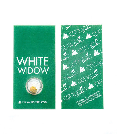 White Widow fem (Pyramid Seeds) семена конопли