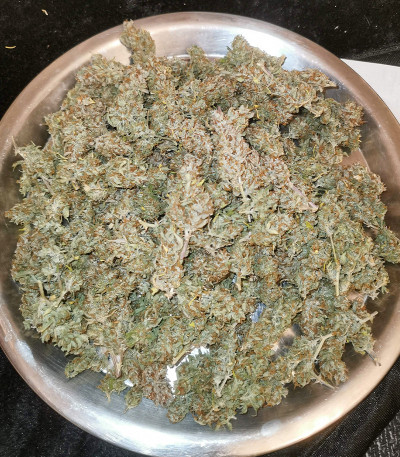 Original Auto Cheese fem FastBuds семена конопли