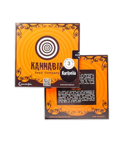 Karibeña (Karibbean Mango) fem семена конопли