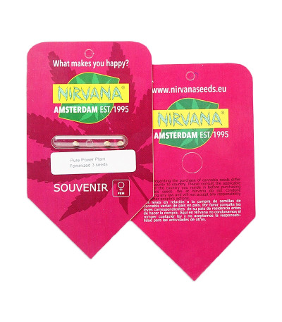 Pure Power Plant fem (Nirvana Seeds) семена конопли