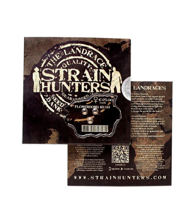 Flowerbomb Kush fem (Strain Hunters) семена конопли