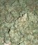 Lemon OG Haze Automatic fem (Nirvana Seeds) семена конопли