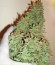 Smokin Gun Auto fem (Dr. Krippling Seeds) семена конопли