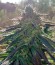 Lost Coast OG fem (Humboldt Seeds) семена конопли