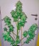 Bubba Kush Autoflowering fem (Dinafem Seeds) семена конопли