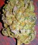 Power Kush fem (Dinafem Seeds) семена конопли