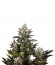 White Widow fem (Dinafem Seeds) семена конопли
