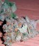 Blue Mystic fem (Royal Queen Seeds) семена конопли