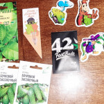 lsd-25-auto-fem-fastbuds.jpg