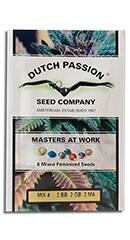 Colour Mix 4 fem (Dutch Passion)