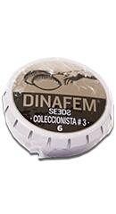 Pack Coleccionista №3 fem (Dinafem Seeds)