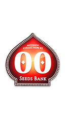 Auto Collection #2 fem (00 Seeds)