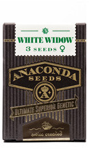 White Widow fem (Anaconda Seeds)