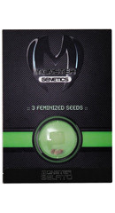 Monster Gelato fem (Monster Genetics)