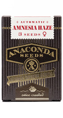 Amnesia Haze Auto fem (Anaconda Seeds)