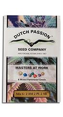 Colour mix 6 Auto Fem (Dutch Passion)
