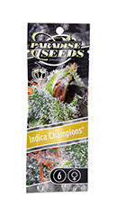 Indica Champions Pack fem (Paradise Seeds)