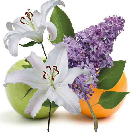 Душистый терпинеол Терпены