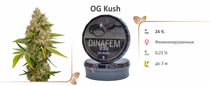 марихуана OG Kush