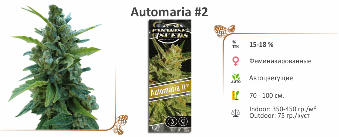 Automaria #2
