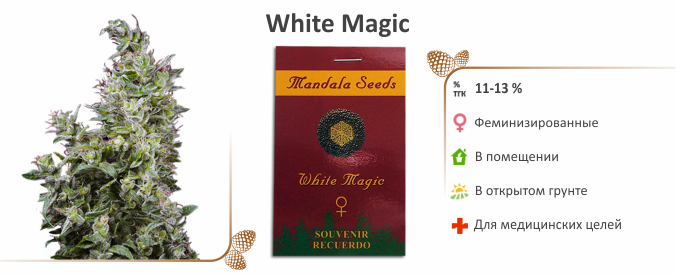 White Magic