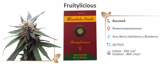 Fruitylicious