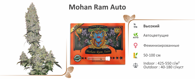 Mohan Ram Auto
