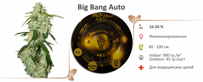 Big Bang Auto