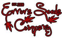Семена конопли в России Errors Seeds 