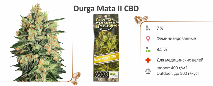 durga_mata_ii_cbd