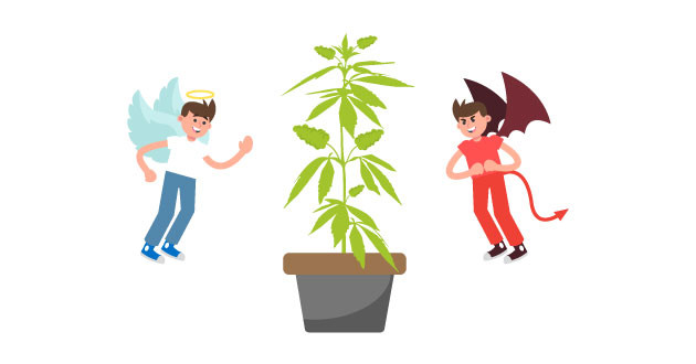 Польза и вред конопли Факты о пользе конопли