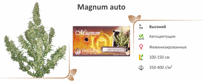 Magnum auto